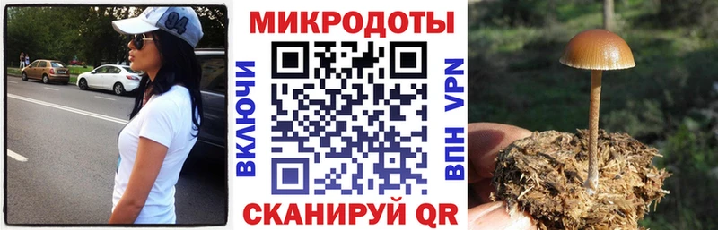 Галлюциногенные грибы прущие грибы  Анапа 